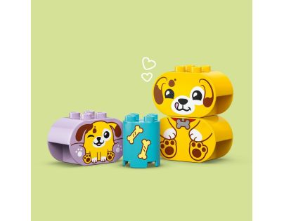 LEGO® DUPLO® 10441 Třídění tvarů: Domeček pro štěňátka