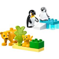 LEGO® DUPLO® 10442 Rodinky divokých zvířat Tučňáci a lvi 2