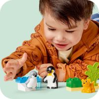 LEGO® DUPLO® 10442 Rodinky divokých zvířat Tučňáci a lvi 6