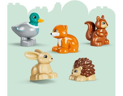 LEGO® DUPLO® 10480 Les plný objevů a divokých zvířátek