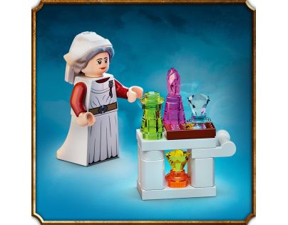 LEGO® Harry Potter™ 76398 Bradavická ošetřovna