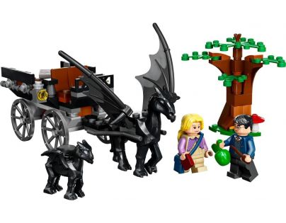 LEGO® Harry Potter™ 76400 Bradavice: Kočár a testrálové