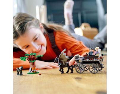 LEGO® Harry Potter™ 76400 Bradavice: Kočár a testrálové