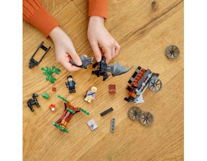 LEGO® Harry Potter™ 76400 Bradavice: Kočár a testrálové