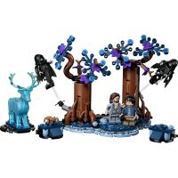 LEGO® Harry Potter™ 76475 Zapovězený les: Expecto Patronum 2