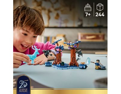 LEGO® Harry Potter™ 76475 Zapovězený les: Expecto Patronum
