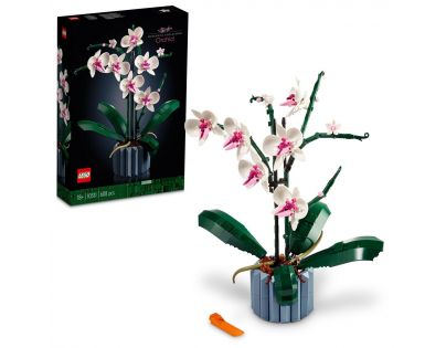 LEGO® ICONS 10311 Orchidej