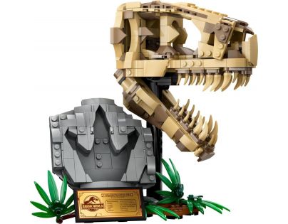LEGO® Jurassic World 76964 Dinosauří fosilie Lebka T-rexe