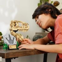 LEGO® Jurassic World 76964 Dinosauří fosilie Lebka T-rexe 3