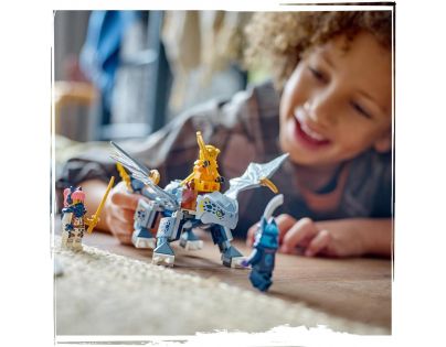 LEGO® NINJAGO® 71810 Dračí mládě Riyu