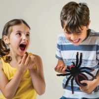 Lexibook Pavouk na dálkové ovládání 5