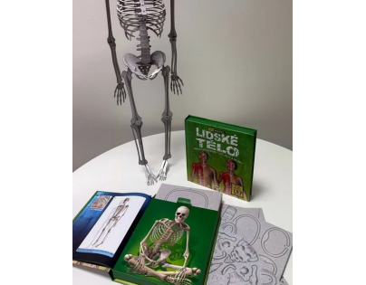 Lidské tělo - 3D MODEL - Zábavná encyklopedie