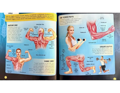 Lidské tělo - 3D MODEL - Zábavná encyklopedie