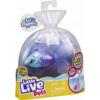 Little Live Pets Plavající rybka modrý Furtail 6