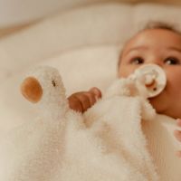 Little Dutch Muchláček husa Newborn Naturals 6