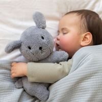 Little Dutch Pejsek Snuffie Fluffy Blue 25 cm 2