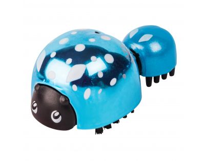 Little Live Pets Beruška - blister Sněženka modrá