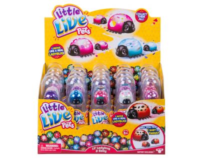 Little Live Pets Berušky Andělka modrá