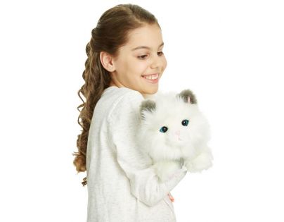 Little Live Pets Moje vysněné koťátko