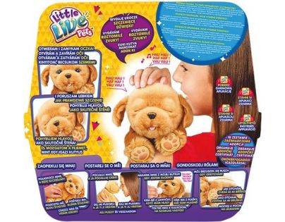 Little Live Pets Moje vysněné štěňátko Snuggles - Poškozený obal