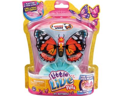 Little Live Pets Motýl - Krásná křídla