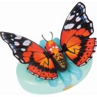 Little Live Pets Motýl - Krásná křídla 2