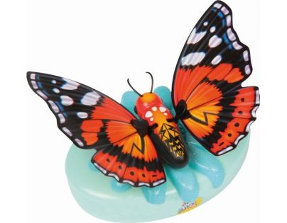 Little Live Pets Motýl - Krásná křídla