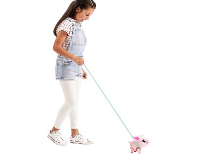 Little Live Pets Prasátko Piggly