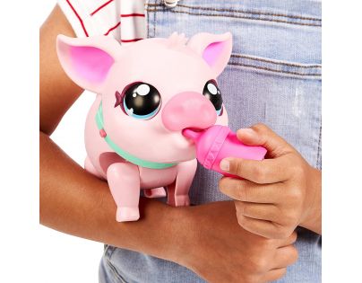 Little Live Pets Prasátko Piggly