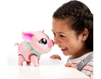 Little Live Pets Prasátko Piggly