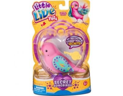 Little Live Pets Ptáček VII. Věrník