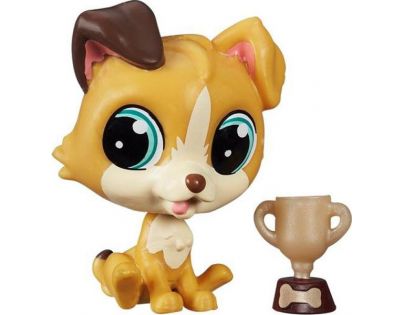Littlest Pet Shop jednotlivá zvířátka - Tessa Terrier