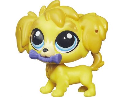 Littlest Pet Shop jednotlivá zvířátka B A8229 - Damon Golden