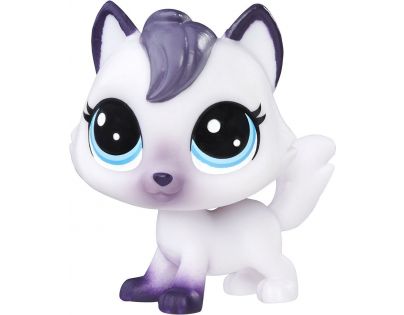Littlest Pet Shop jednotlivá zvířátka B A8229 Birma Bluepoint