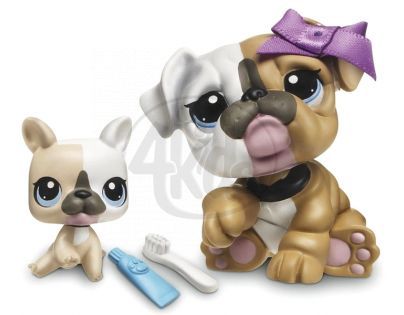 Littlest Pet Shop zvířátka - 3587 Buldog 3588 mládě