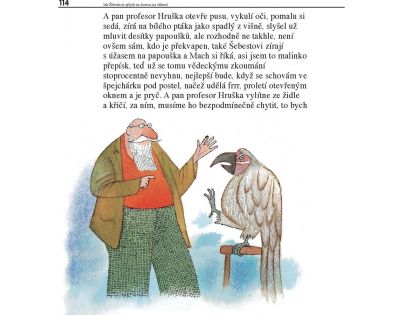 Albatros Mach a Šebestová na prázdninách Miloš Macourek