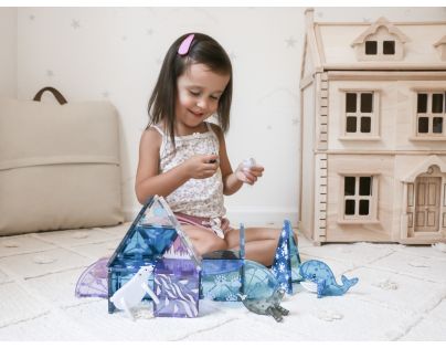 Magna-Tiles Arctic 25 dílků