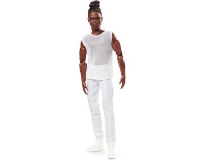 Mattel Barbie Basic Ken s hnědými vlasy