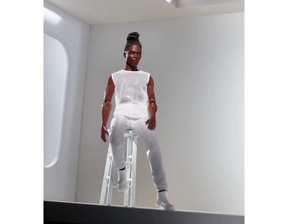 Mattel Barbie Basic Ken s hnědými vlasy