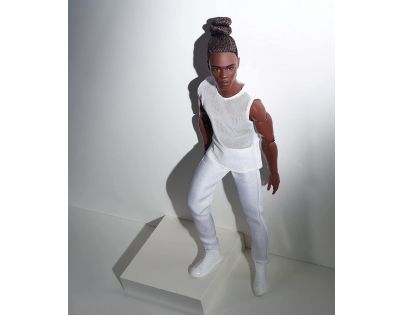 Mattel Barbie Basic Ken s hnědými vlasy