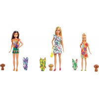 Mattel Barbie Dreamtopia sestra s plavkami č.2 6
