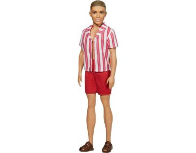 Mattel Barbie Ken 60. výročí 1962 plavky