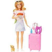Mattel Barbie Panenka Malibu na cestách 29 cm 2