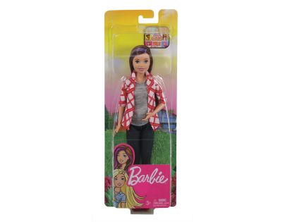 Mattel Barbie Skipper