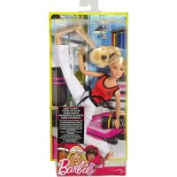 Mattel Barbie sportovkyně Mistryně bojových umění 5