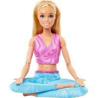 Mattel Barbie v pohybu Blondýnka v modrých legínách 4