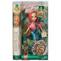 Mattel Ever After High Z hloubi lesa - Ashlynn Ella 6