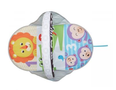 Mattel Fisher Price Dečka pro aktivní zábavu 2v1