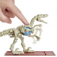 Mattel Jurský svět Dino kostry Velociraptor 2