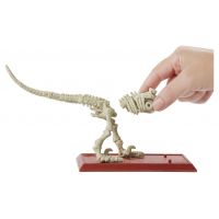 Mattel Jurský svět Dino kostry Velociraptor 4